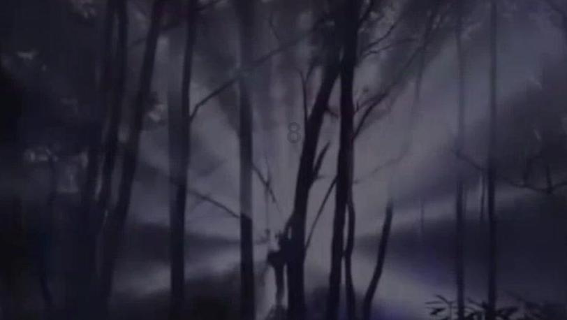意大利威尼斯狂欢节开幕，“贡多拉”梦幻巡游