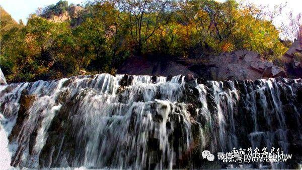 任青奥会大使宣传韩国文化,网友戏称其墙头草!谷爱凌尴尬了
